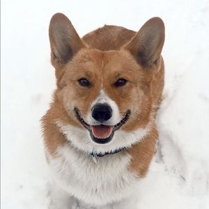 Meet your Posher, Alexis